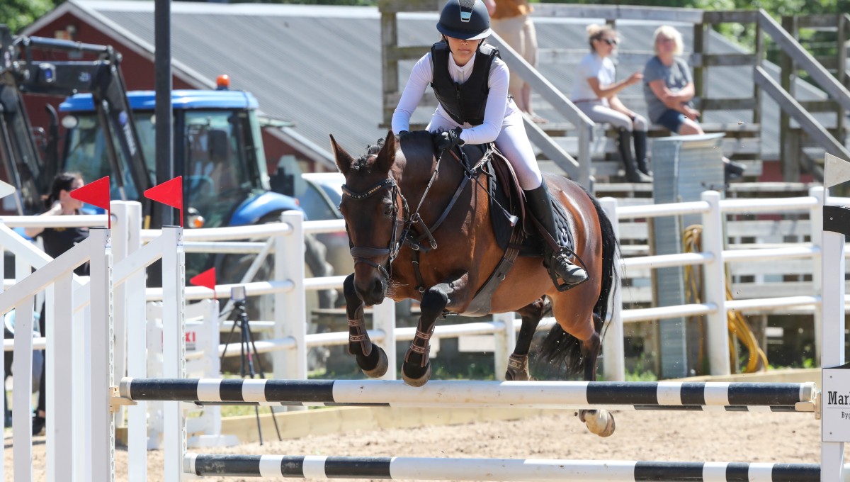 Comp 8 - Pikkuponit 75 cm sekä isot ponit ja hevoset 85 cm arvostelu A.0.0  - EquisportTV